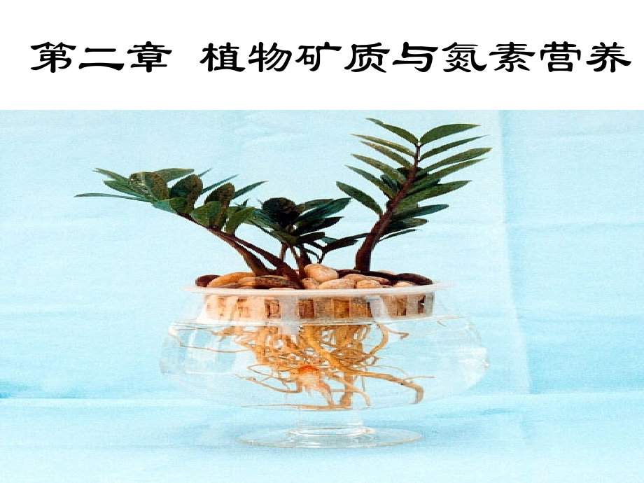 植物生理学之植物矿质营养._第1页