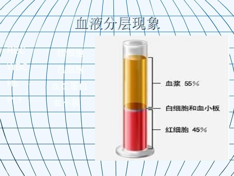 四人体内物质的运输教材_第5页