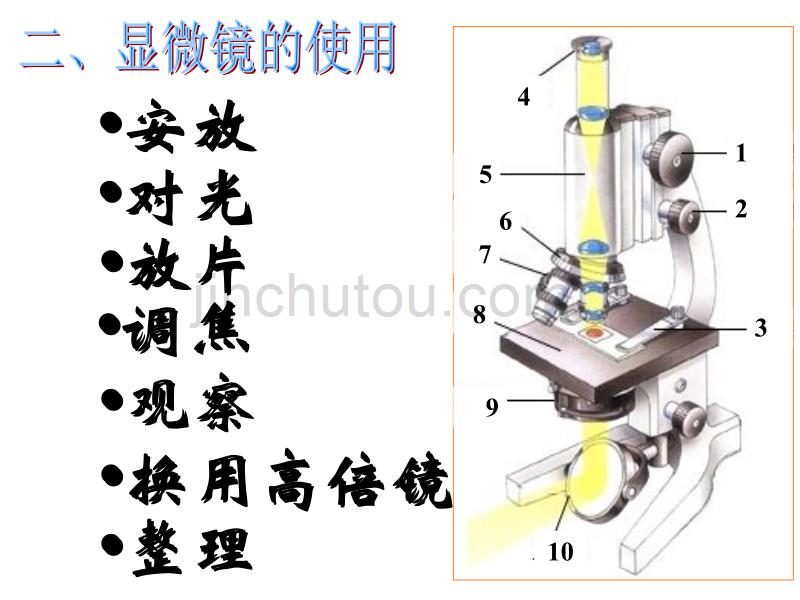 复习显微镜的使用剖析_第3页