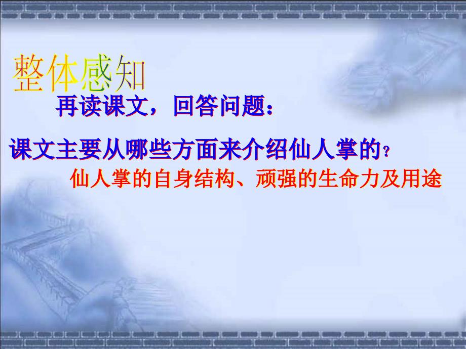 西师大版六年级语文《仙人掌》课件._第4页