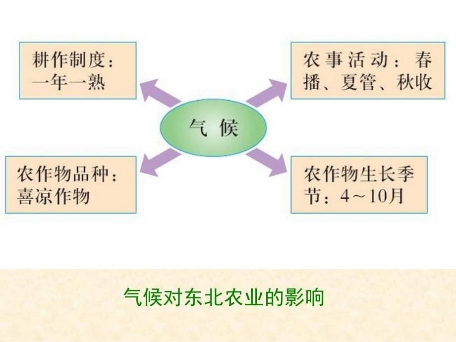 地理.区域农业发展——以我国东北地区为例(人教版必修)_第5页