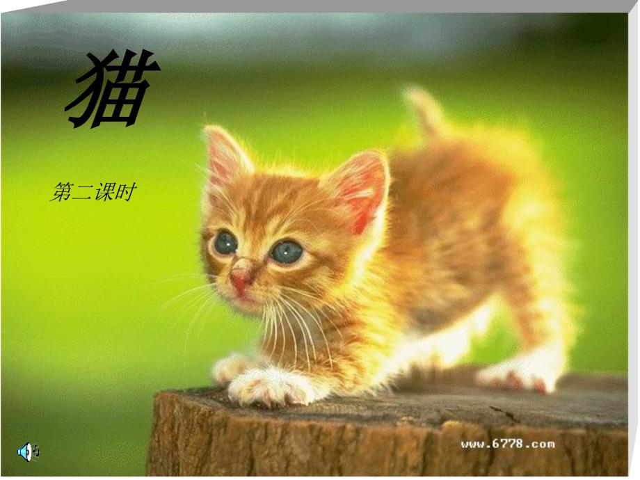 四年级上册课《猫》_第1页