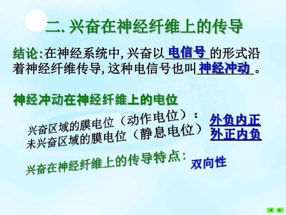 复习动物和人体生命活动的调_第5页