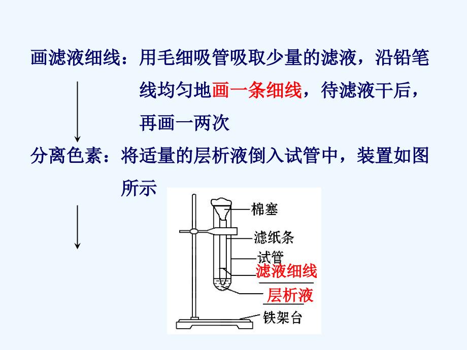 实验,绿叶中色素的提取和分离_第4页