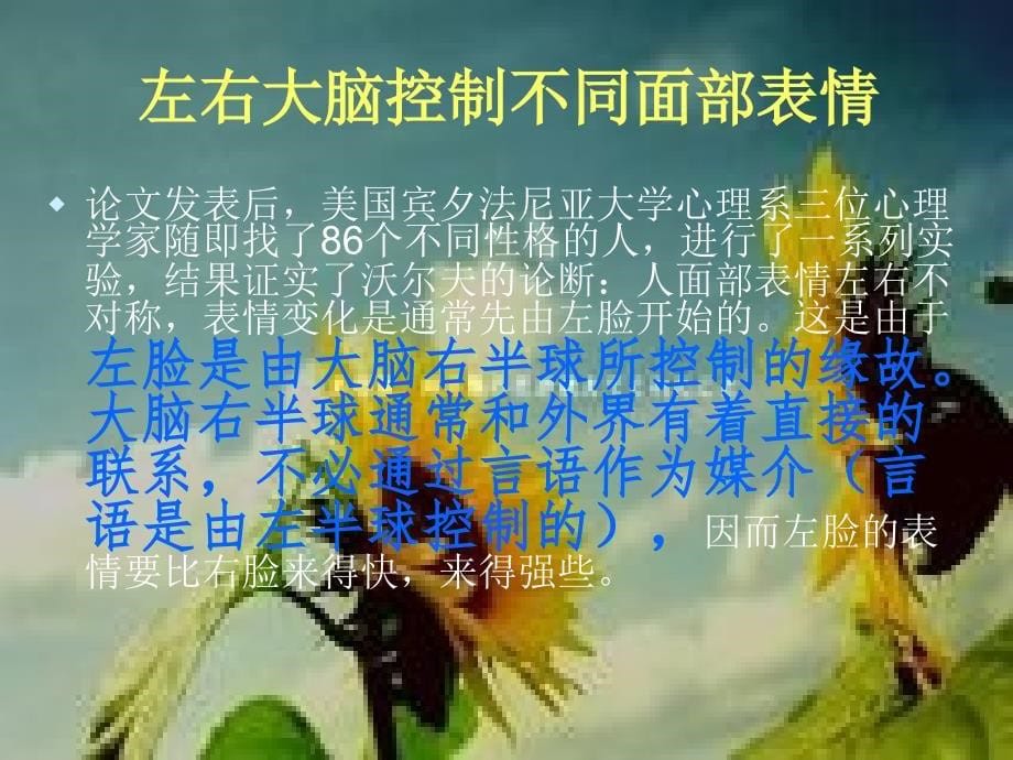 微表情心理学（改）_第5页