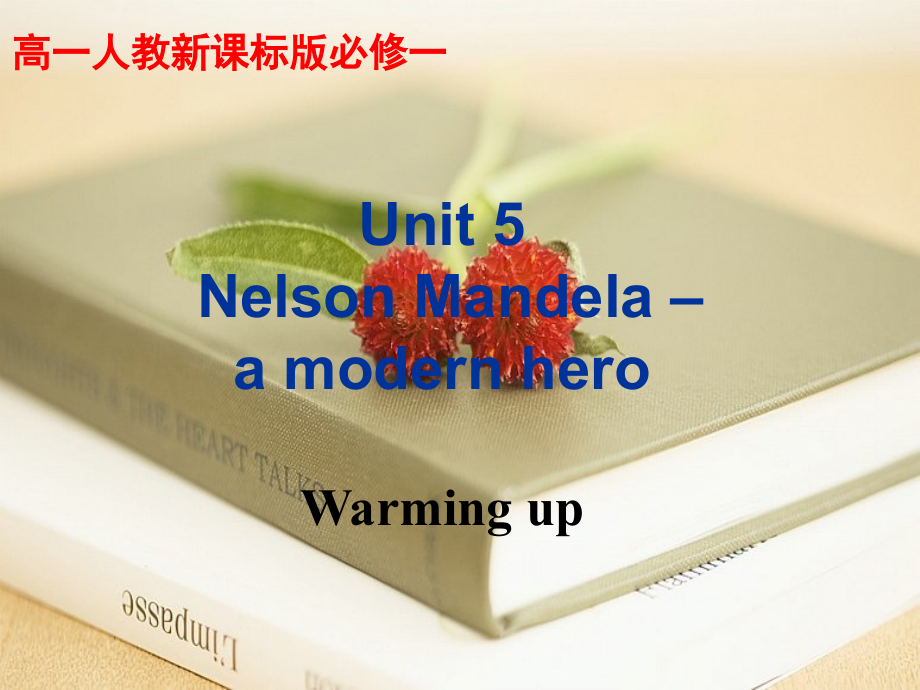 高中英语必修一 Unit5 Nelson Mande语言知识点课件._第1页