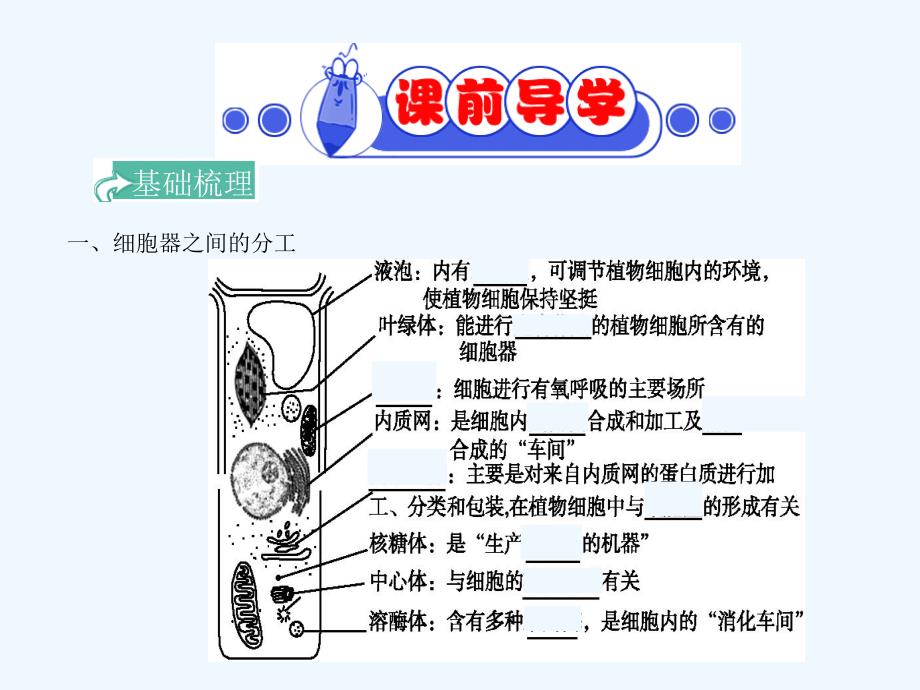 四川成都高考生物第三章细胞器──系统内的分工合作（必修1）_第3页