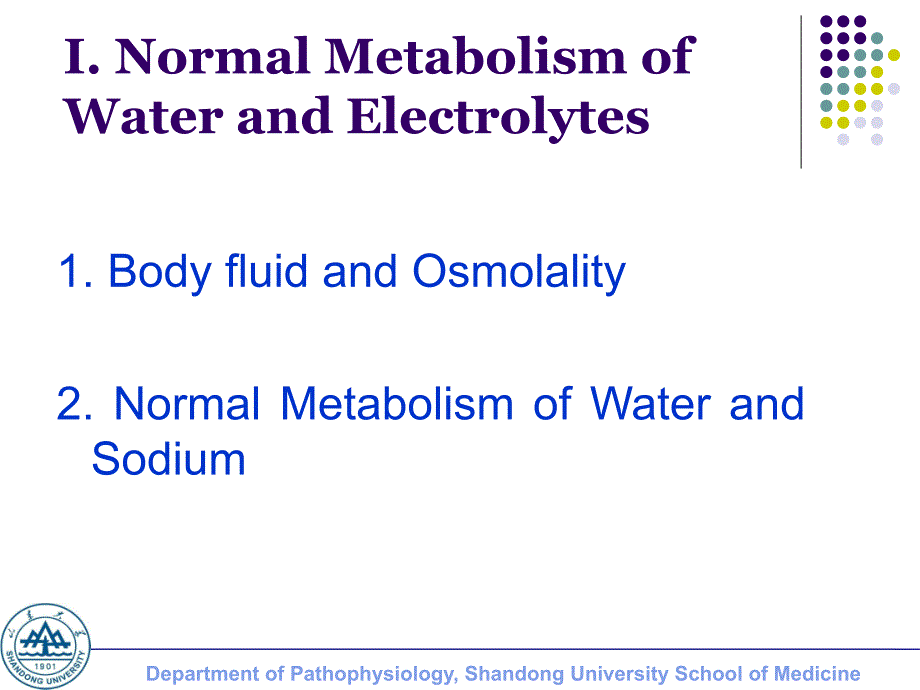 病理生理学课件 复习资料 英文 Normal Metabolism of Water and Electrolytes_第3页