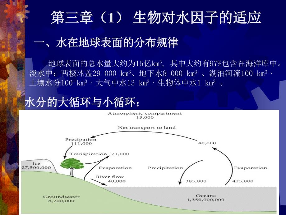 生物对水因子的适应综述_第1页