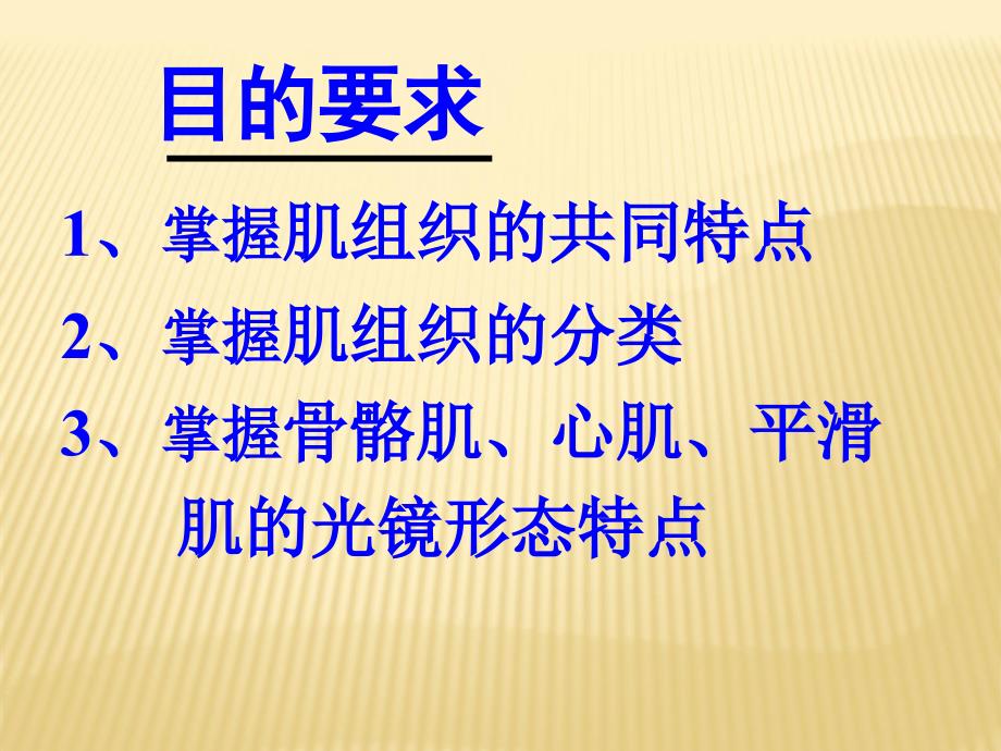 医学课件《组织胚胎学》肌、神经组织_第2页