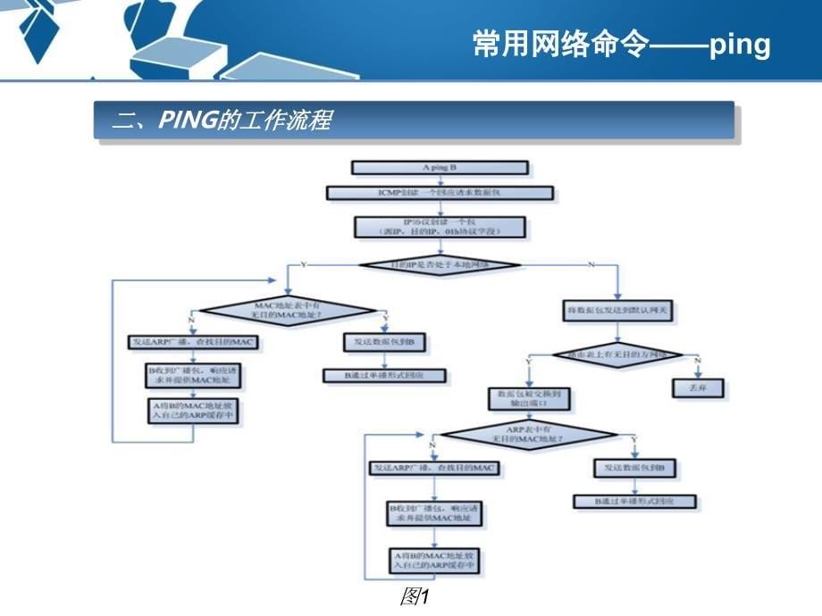 最常用网络命令详解综述_第5页