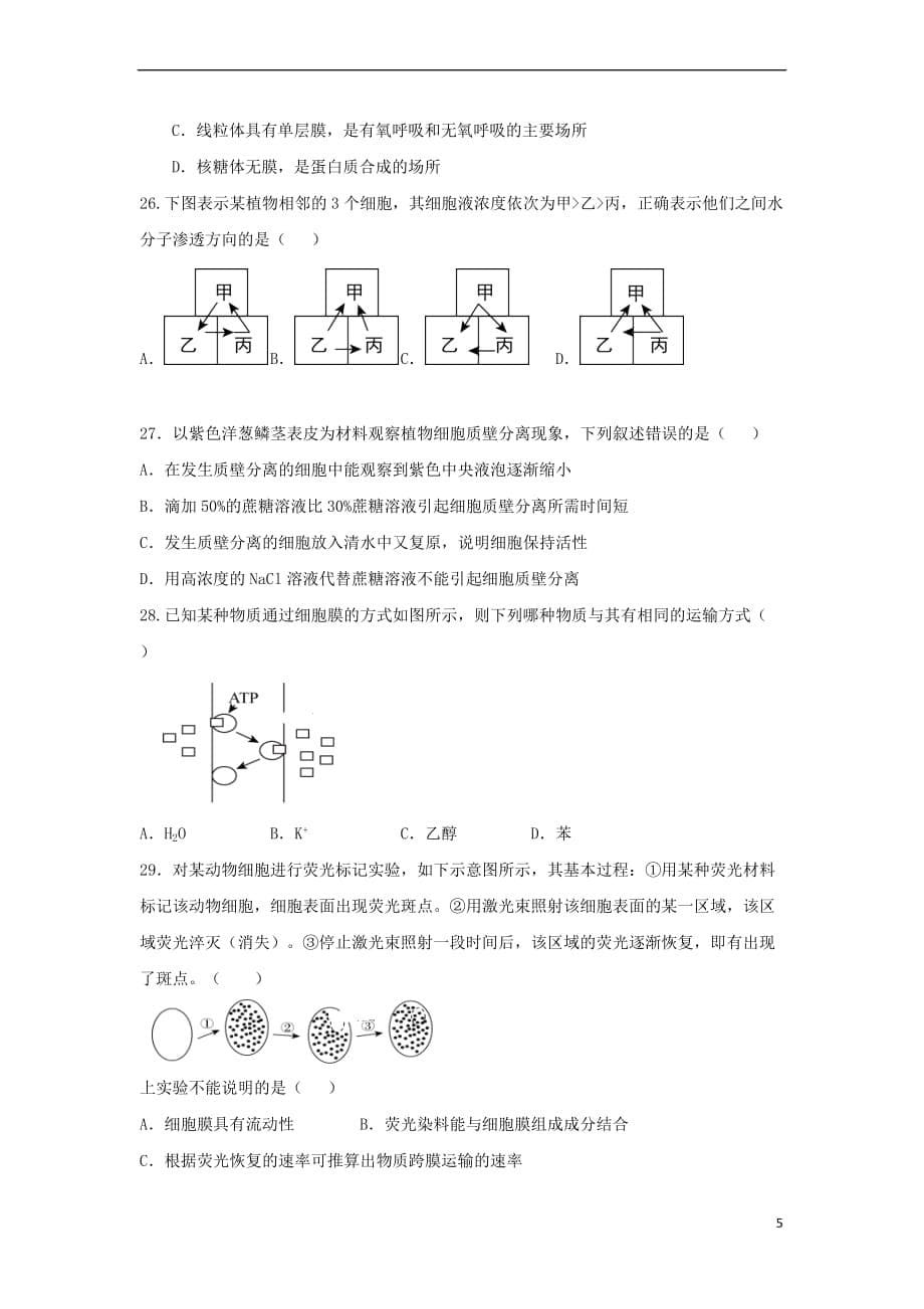 河南省信阳市第六高级中学2018－2019学年高一生物上学期第三次（1月）月考试题_第5页