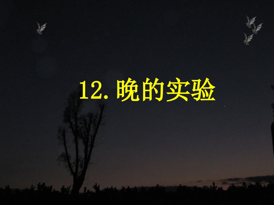 六年级下12夜晚的实验._第1页