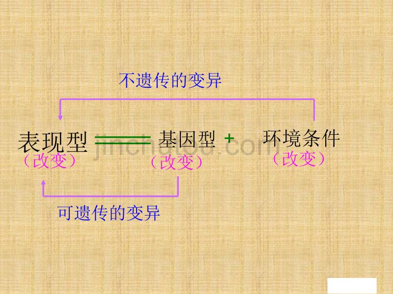 四生物的变异变异的来源课件浙科版必修_第3页