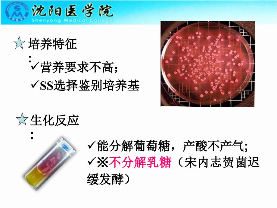 志贺菌属医学微生物学_第3页