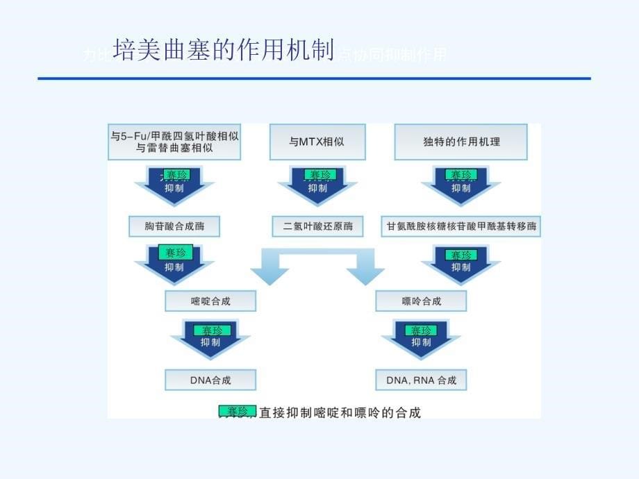 培美曲塞治疗非小细胞肺癌临床进展讲义_第5页