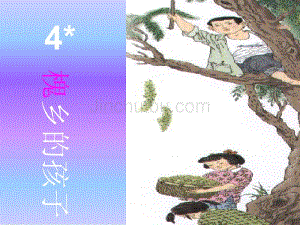 人教版小学语文三年级上册《槐乡的孩子》课件.