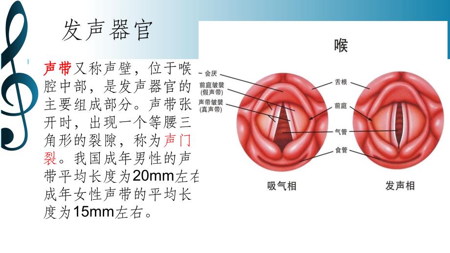 如何保护嗓子._第2页