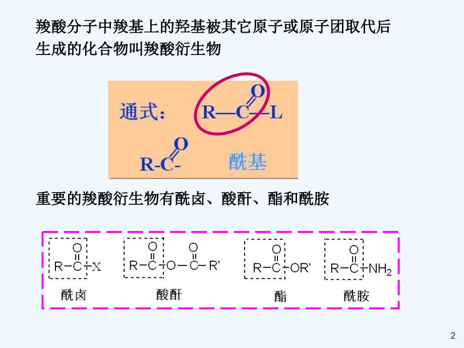 有机化学三版(胡宏纹)十三 羧酸衍生物_第2页