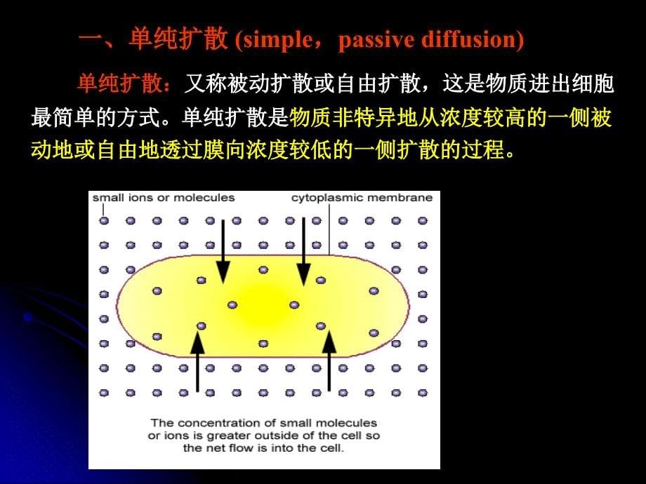 微生物的营养和培养基(年学期)_第5页