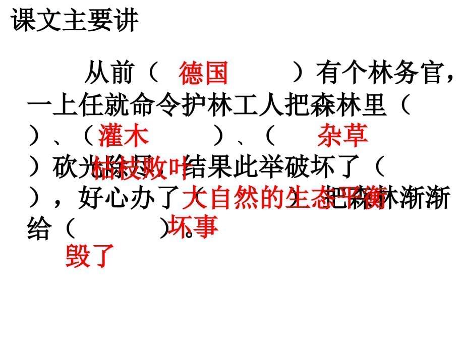 大自然的启示教学人教版语文四年级下册课_第5页