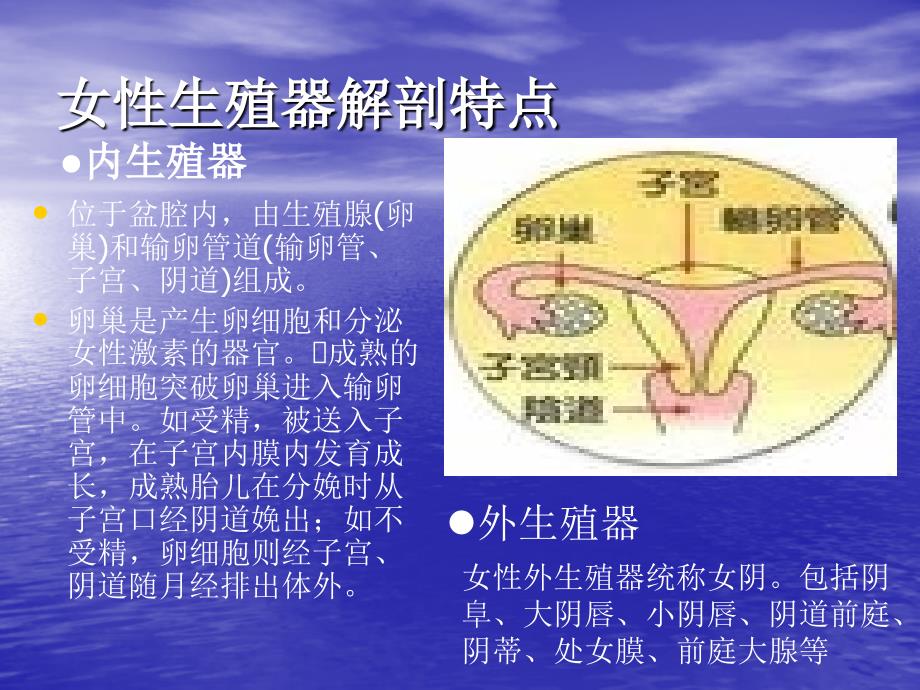 妇科课件(新员工).doc剖析_第1页