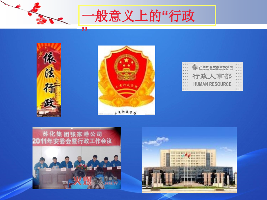 行政法学(张树义)教案教程_第3页