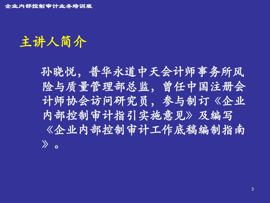 计划审计工作--普华永道会计师事务所合伙人 孙晓悦讲解_第2页