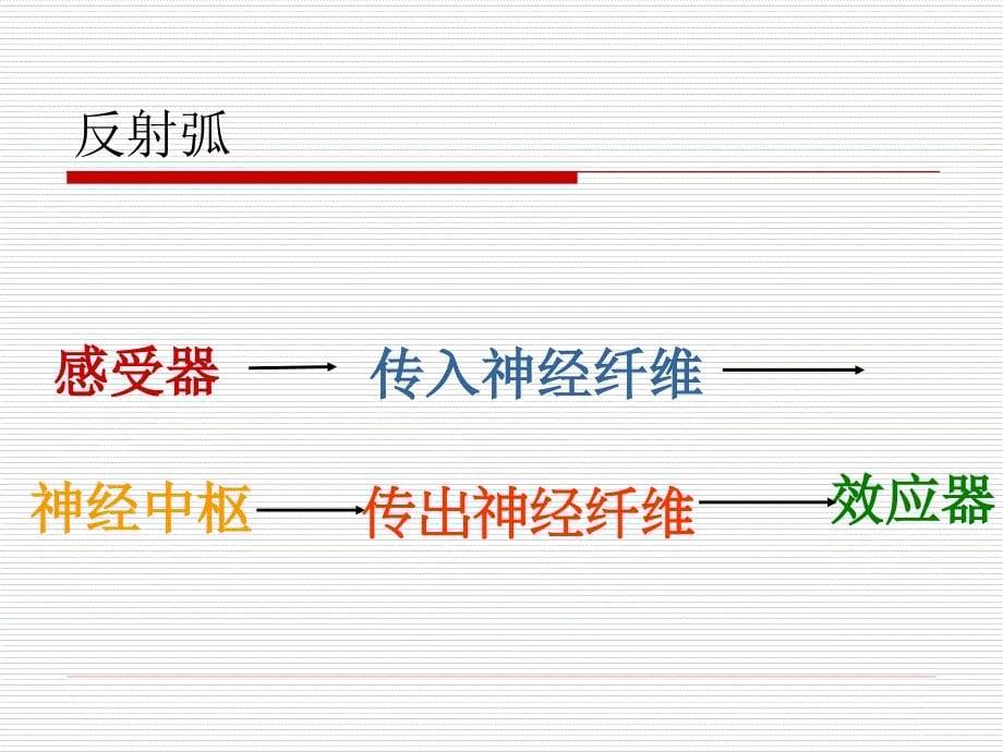 两种反射中枢都在大脑C．前一种反射中枢在脊髓后一种反射中枢在_第5页