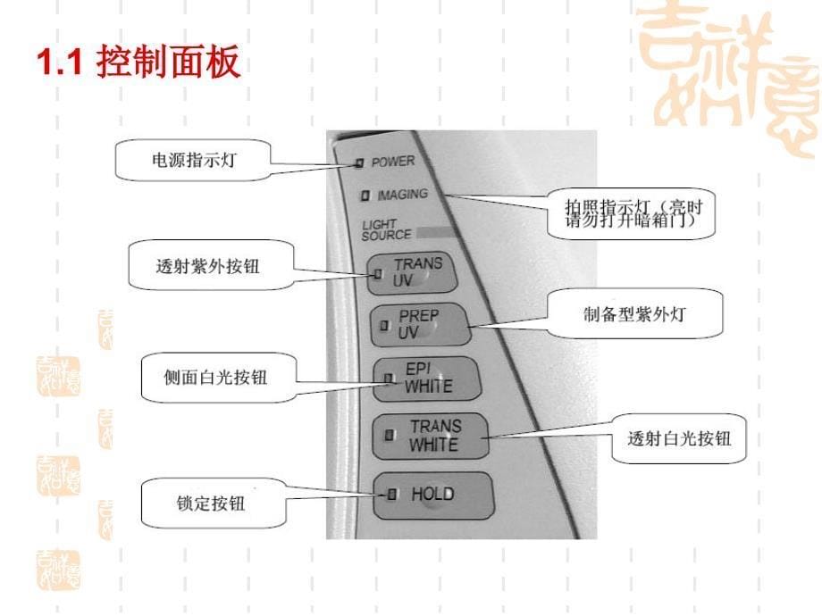 bio-rad凝胶成像分析仪_第5页