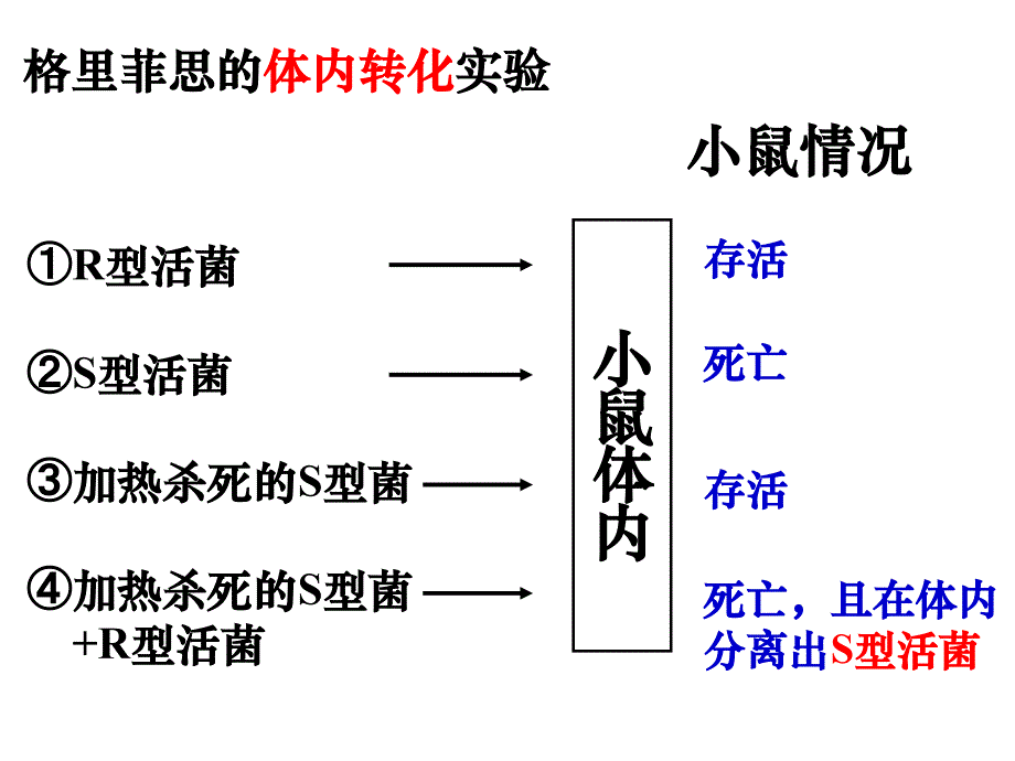 学业水平测试复习—三基因的本质_第3页