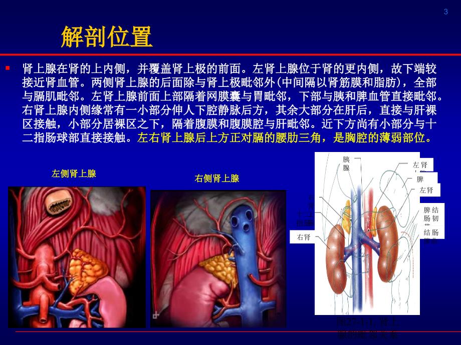 腹腔镜肾上腺切除剖析_第3页