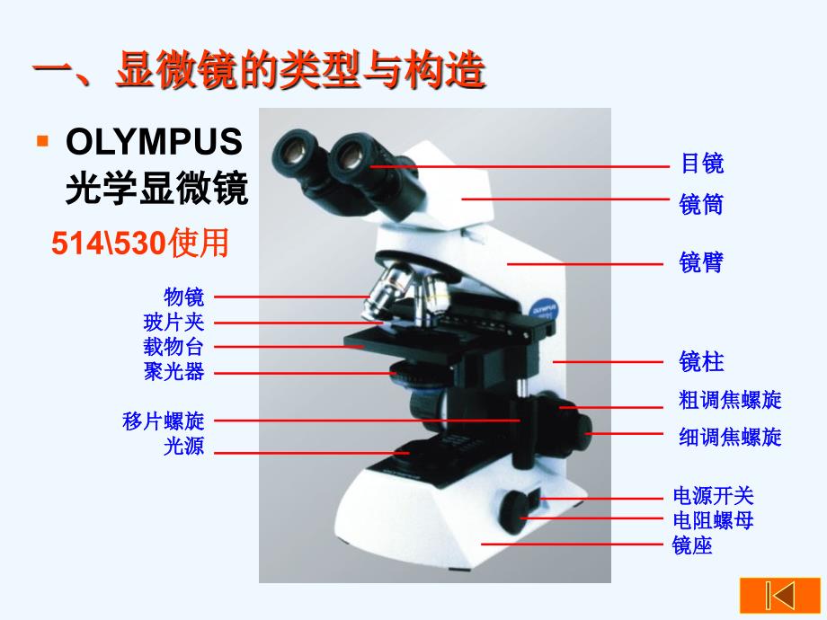 实验显微镜使用与植物细胞观察讲义_第2页