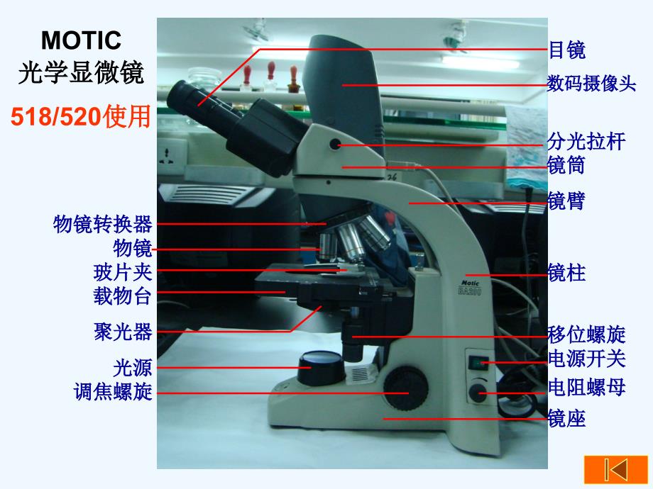 实验显微镜使用与植物细胞观察讲义_第3页