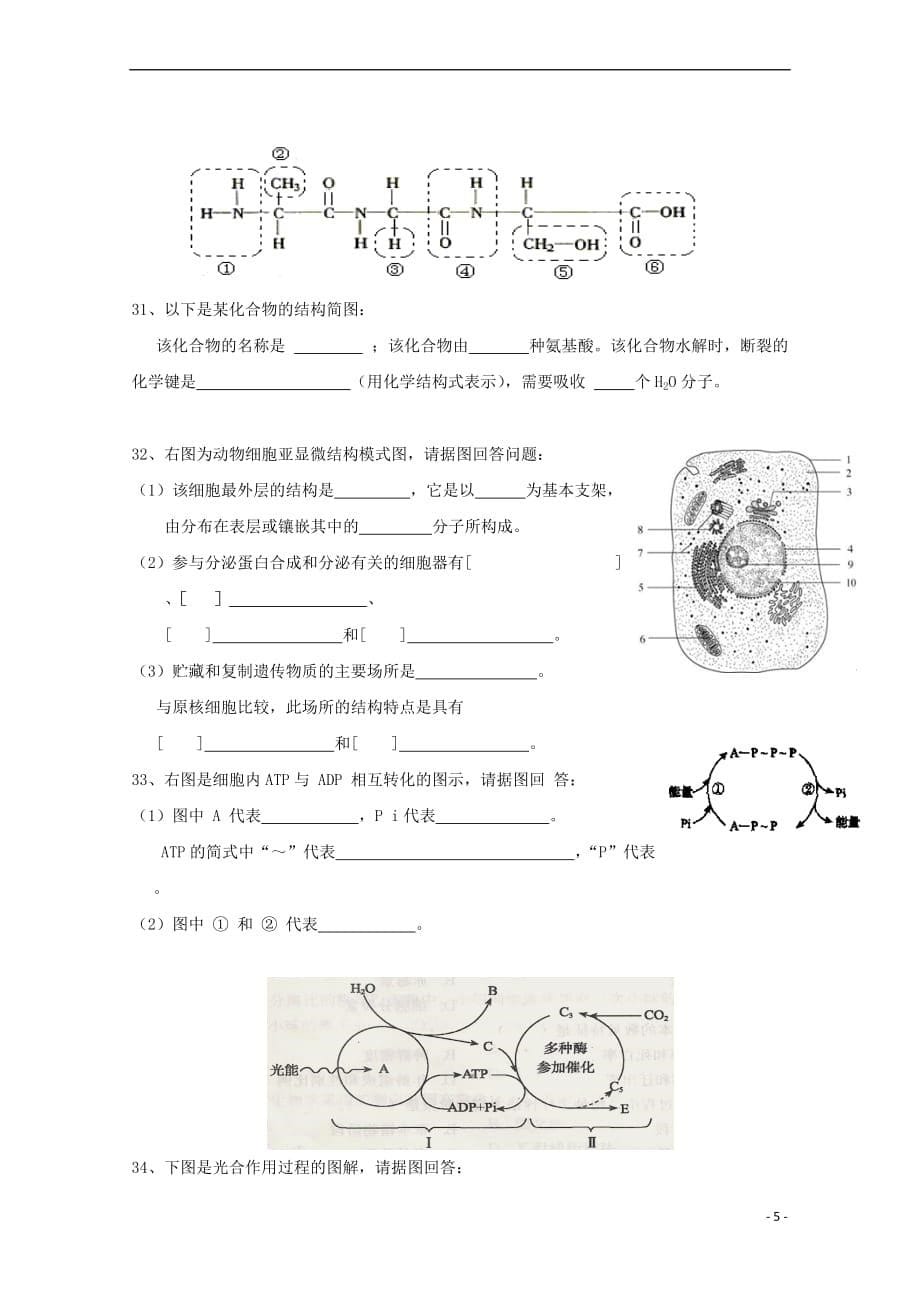 福建省2018-2019学年高二生物上学期期中试题 文_第5页