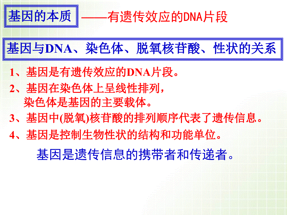 届一轮复习基因指导蛋白质的合成_第1页