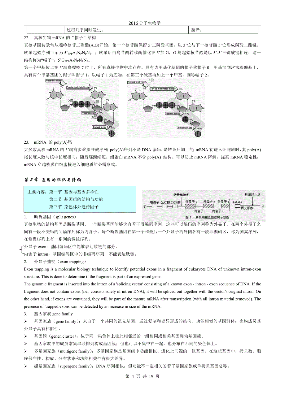 中国海洋大学分子生物学_复习._第4页