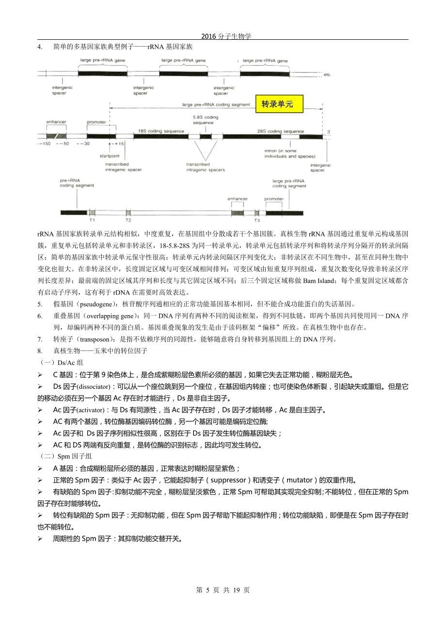 中国海洋大学分子生物学_复习._第5页