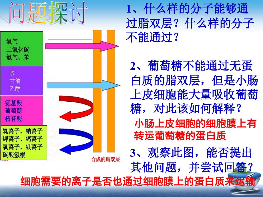 细胞生物学五章(沈婷)._第3页