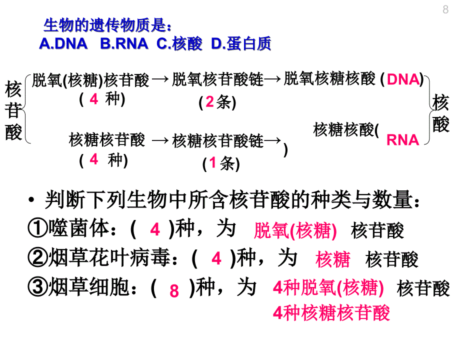 基因对性状的控制(用)_第1页