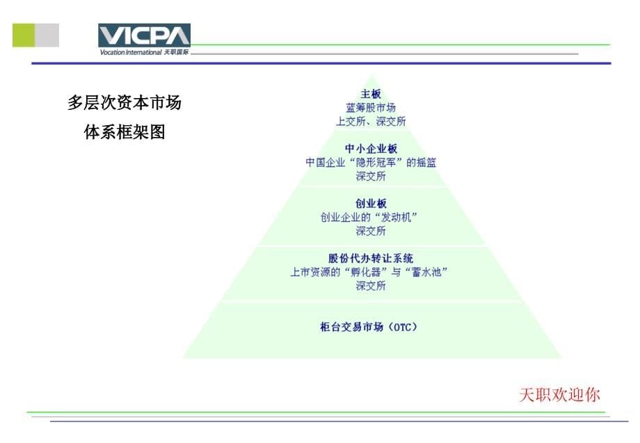 行上市重点财务会计及审计问题(2010.7)讲解_第5页