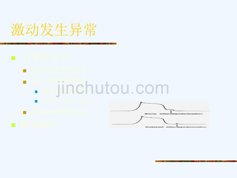 常见心律失常药物治疗（医学资料）_第5页