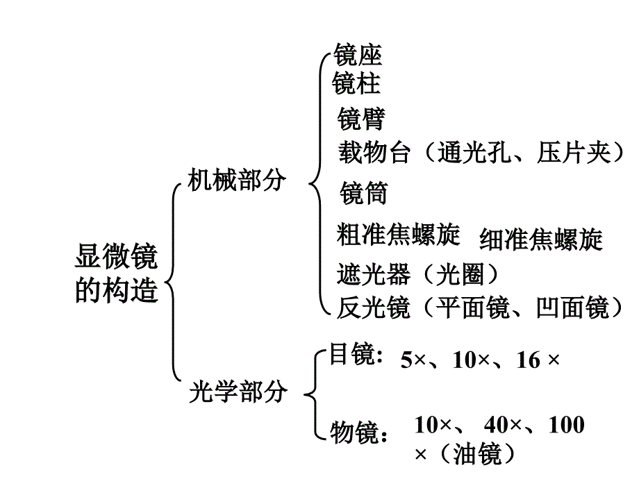 显微镜使用方法综述_第3页