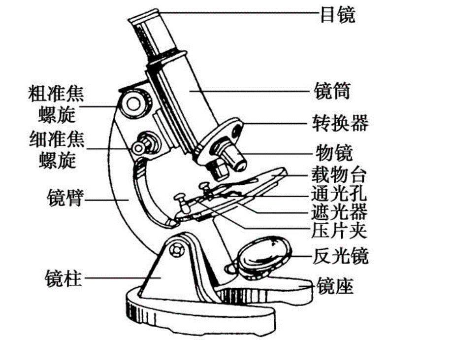 显微镜使用方法综述_第4页