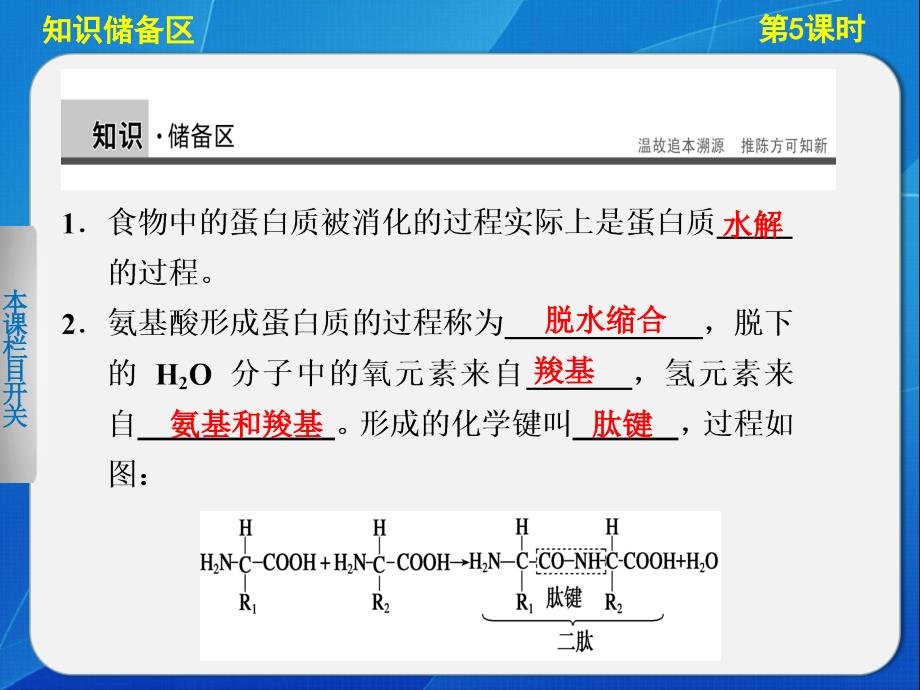 学案导学 生命活动的主要承担者(第2课时)._第2页