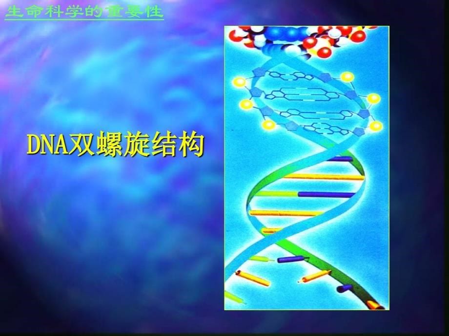 生命科学导论-生命系统与生命科学._第5页