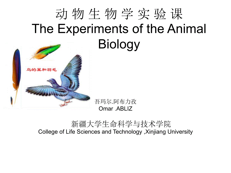 动物生物学实验课鸟类_第1页