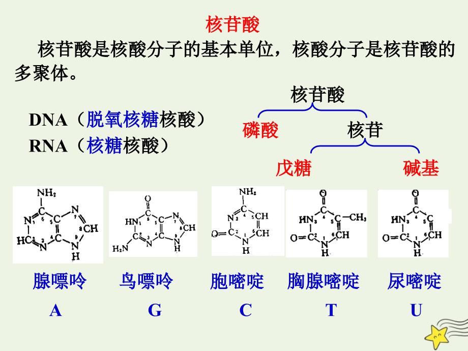 高中生物3.2DNA的分子结构和特点课件1浙科版必修2_第3页