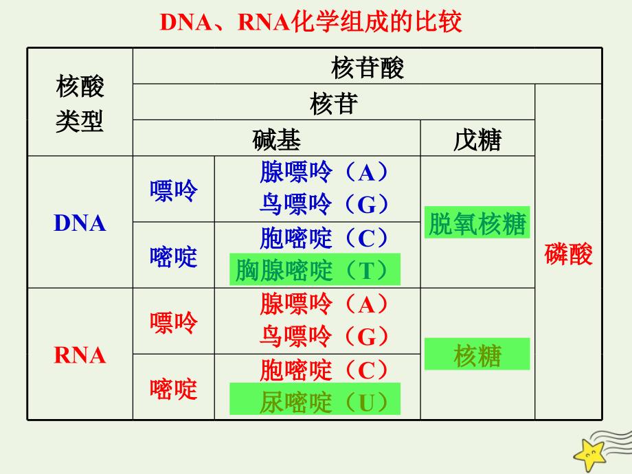 高中生物3.2DNA的分子结构和特点课件1浙科版必修2_第4页