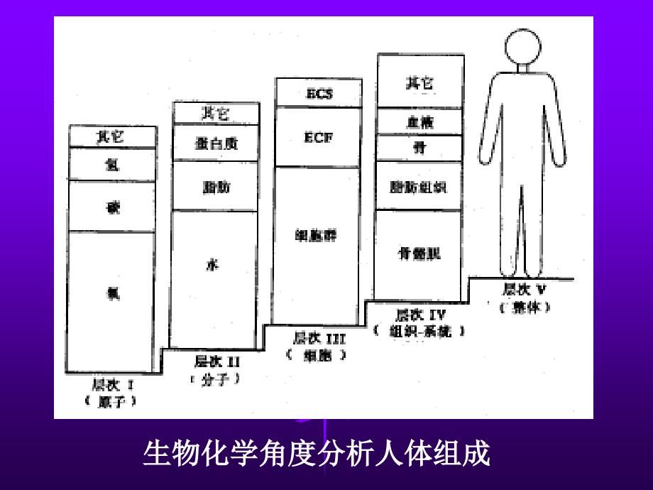 运动生化化学 第一章._第4页